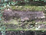 image of grave number 682065